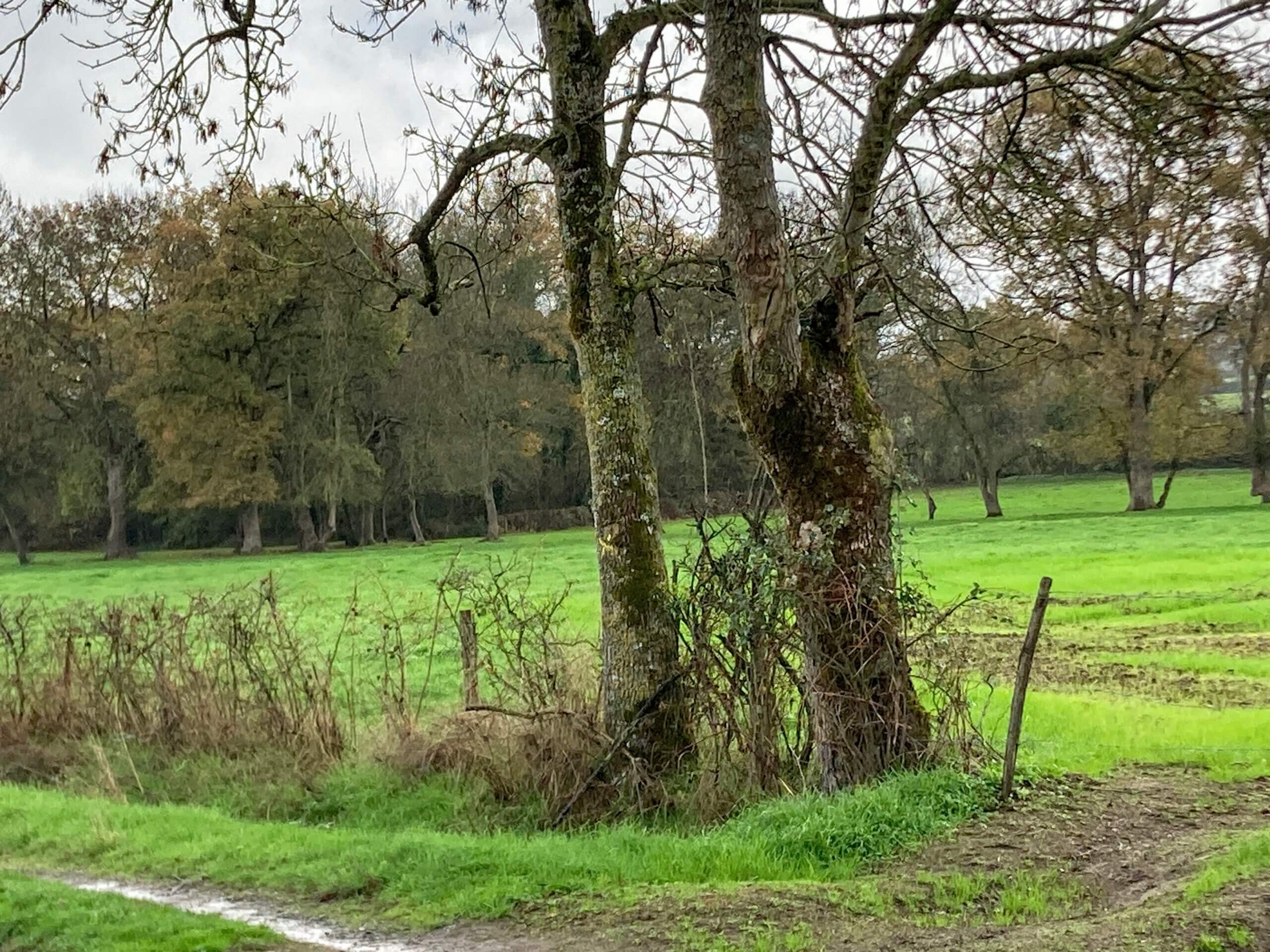 dimanche à Luché-thouarsais